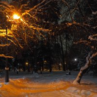 Прогулкив Зимнем Парке :: юрий поляков