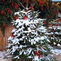 Острая елочка :: Наталья Острая елочка :: Наталья