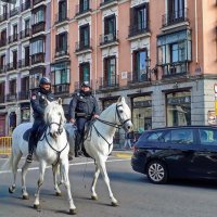 Кабальерос :: Андрей K.