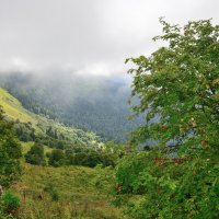 ** :: Александр Хаецкий