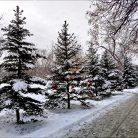 Нарядные ёлочки! :: Надежда 