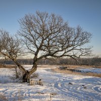 Место отдыха на отдыхе :: Валерий VRN