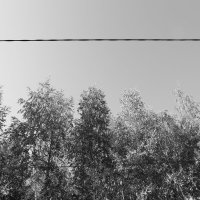 Фотография :: Денис Безногов