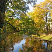 осень :: марта Камушкина