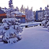 Январь..Снежно-морозный этюд с елочками! :: Владимир 