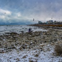 Берег :: Анатолий Чикчирный