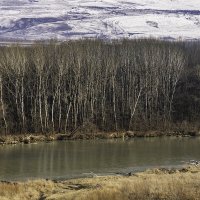 Река Кубань :: Игорь Сикорский