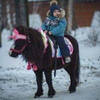 Казак :: Алексей Копцев 