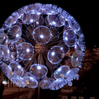 Одуванчик :: Валерий Пославский Одуванчик :: Валерий Пославский