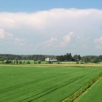 Вблизи местечка Лянсикюля :: Александр Ильчевский Вблизи местечка Лянсикюля :: Александр Ильчевский