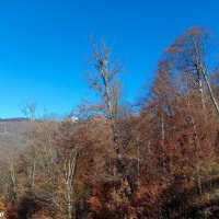 Адлер... горы... Роза Хутор... :: Нина Бутко