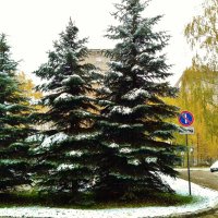 городская среда :: Владимир 