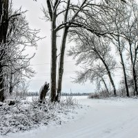 Январь. :: Владимир 