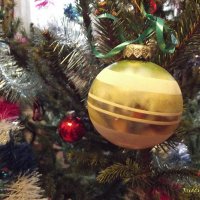 На новогодней ёлочке :: Freddy 97