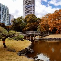 Токио :: Civetta ***