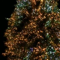 Рождество в Штутгарте - 23 :: Алексей Кузнецов