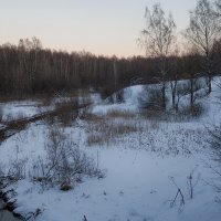 На реке Охте. :: Лилия *