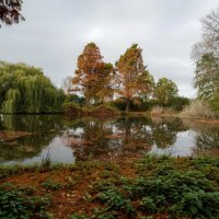 Ноябрь рулит... :: Николай Гирш