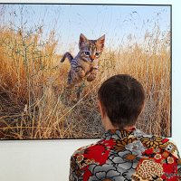 найти своих :: Олег Лукьянов