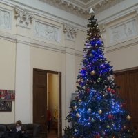 елка в фойе Дома кино :: zavitok *