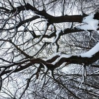 О сложности жизни :-) :: Андрей Лукьянов