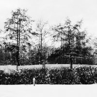 ^ ^ ^ :: Василий Палий