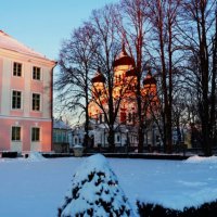 В Губернаторском саду(Лоссиаэд-дворцовый сад) :: Aida10 