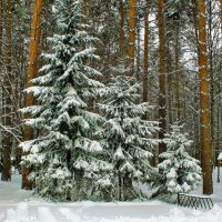 В городском парке :: Галина Нестратова