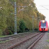 Ласточка :: Serega SchütZ