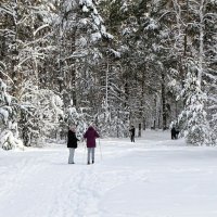 Зима в январе. :: Милешкин Владимир Алексеевич Зима в январе. :: Милешкин Владимир Алексеевич