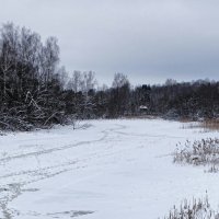 Наследили рыбаки (репортаж из поездок по области). :: Милешкин Владимир Алексеевич 