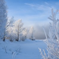 Серебро зимы :: Владимир Звягин