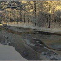 Мороз и солнце :: Aleksandr Gal