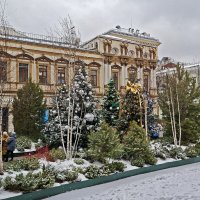 Кузнецкий лес :: ИРЭН@ .