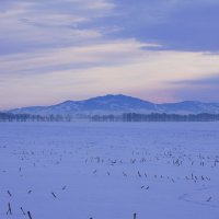 Алтайская сопка :: Наталия Григорьева Алтайская сопка :: Наталия Григорьева