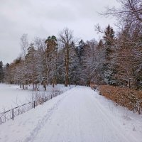 Мороз без солнца, но чудесно :-) :: Лия ☼