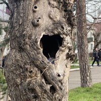 Вокал ! :: Alexey YakovLev Вокал ! :: Alexey YakovLev