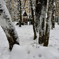 Мне улыбались) :: Любовь 