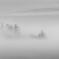 Зимний туман :: Максим Вышарь