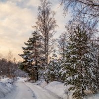 Первые дни нового года 6 :: Андрей Дворников