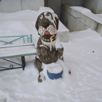 Памятник барбосу :: Игорь Солдаткин Памятник барбосу :: Игорь Солдаткин