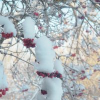 ЗИМА :: Александра [-/ ЗИМА :: Александра [-/