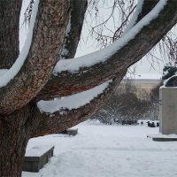 мастодонты :: sv.kaschuk мастодонты :: sv.kaschuk