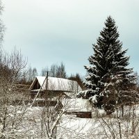 Зима в деревне :: Александр 