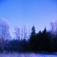 Зима :: Людмила Смородинская