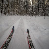 Лыжня зовет :: Сергей Цветков
