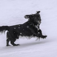 ... :: Жора Житников