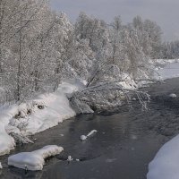 ... :: Жора Житников