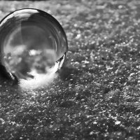 ---Magic and frosty--- :: AL Reborn 