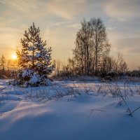 Первые дни нового года 7 :: Андрей Дворников